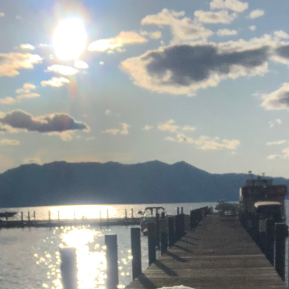 Meet your Posher, Betsy - Picture 1 of 1